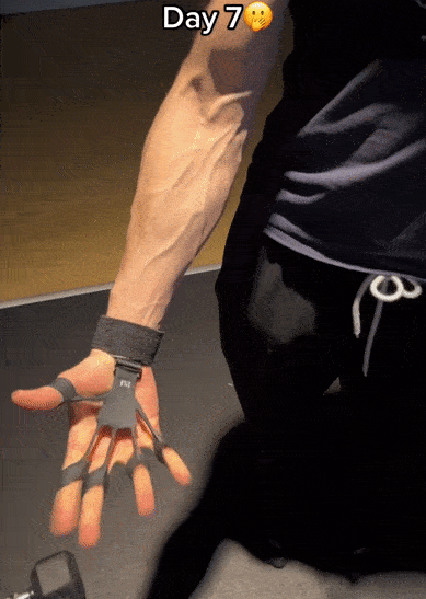 Flex Gripster Trainer